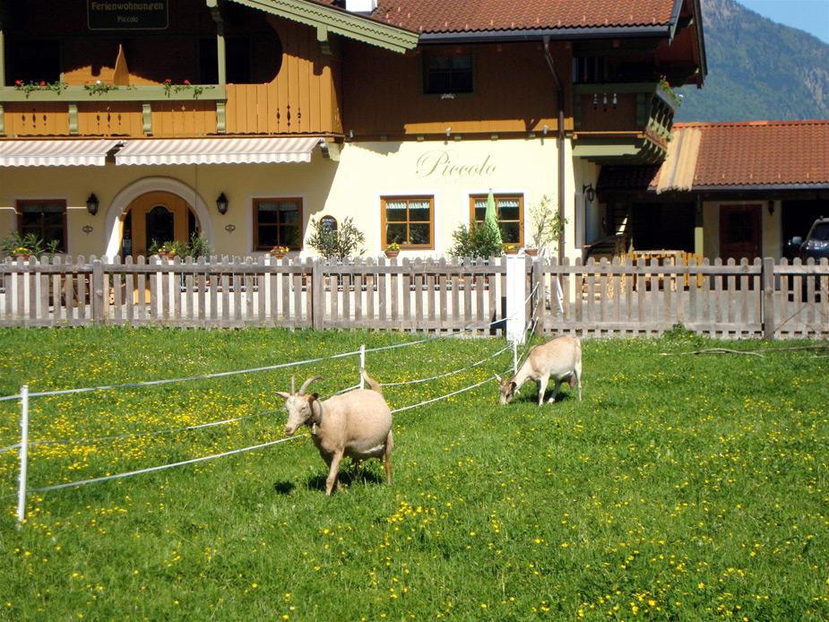garten2